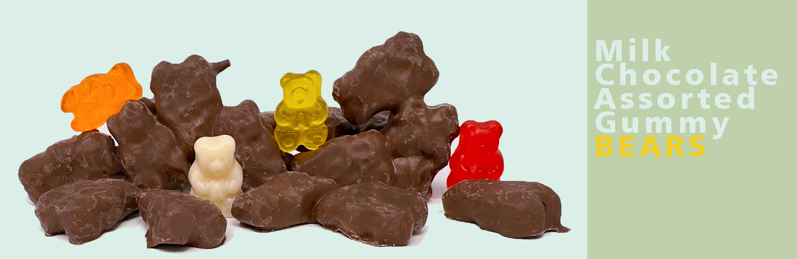 Chocolate Covered Gummy Bears